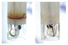 Elettrolida gel contaminato - Piramide Ambiente