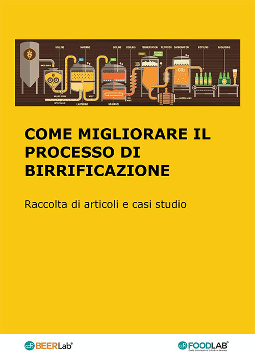 Migliorare il processo di birrificazione Piramide