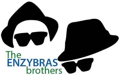 Piramide Ambiente - The Enzybras Brothers