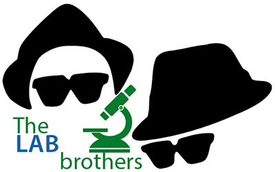Piramide Ambiente - The Lab Brothers