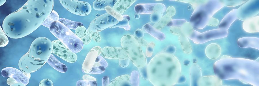 Lo pseudomonas industria alimentare