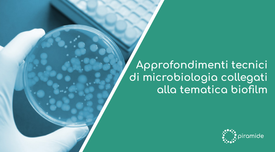 Approfondimenti tecnici di microbiologia collegati alla tematica biofilm