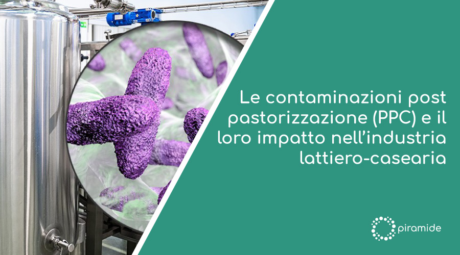 Piramide Srl Contaminazioni post pastorizzazione PPC e loro impatto industria lattiero casearia