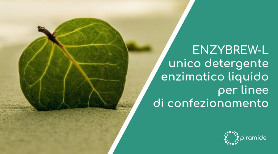 ENZYBREW-L unico detergente ezimatico liquido per linee di confezionamento (2)